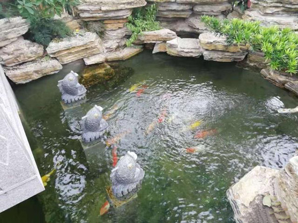 別墅花園設(shè)計里添加個魚池設(shè)計怎么樣？