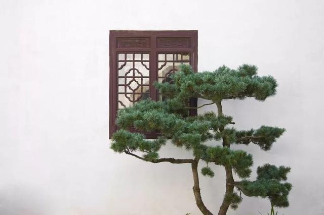 驚艷世界的中式庭院，美哭了！